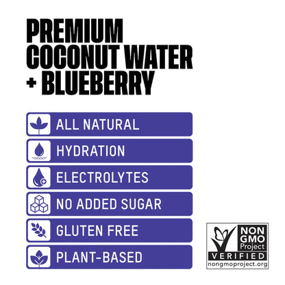 Premium Coconut Water + Blueberry (320mlx12)